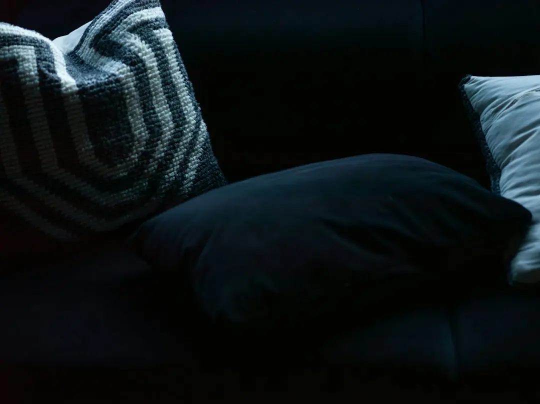 Cojines sobre un sofá oscuro en un salón en penumbra